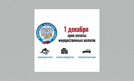 Уплатите налоги не позднее 1 декабря 2025 года